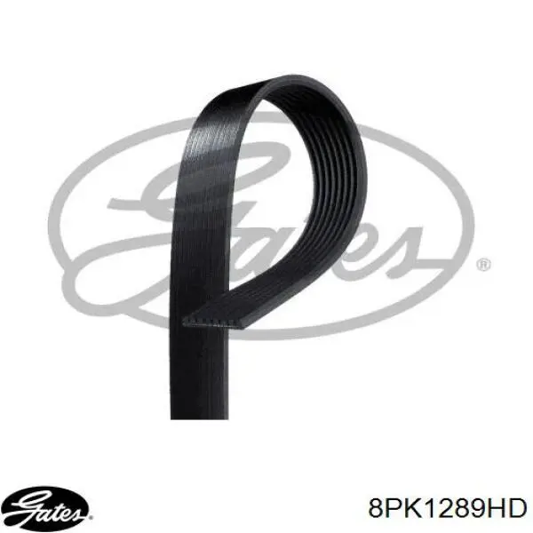 8PK1285 Dayco Pas napędowy mechanizmów