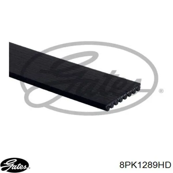 Do koszyka 8PK1290HD Dayco Pas napędowy mechanizmów