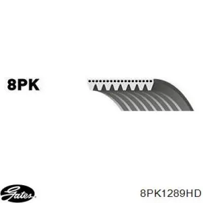 Pas napędowy mechanizmów Dayco 8PK1285 cena, od 17,49 USD