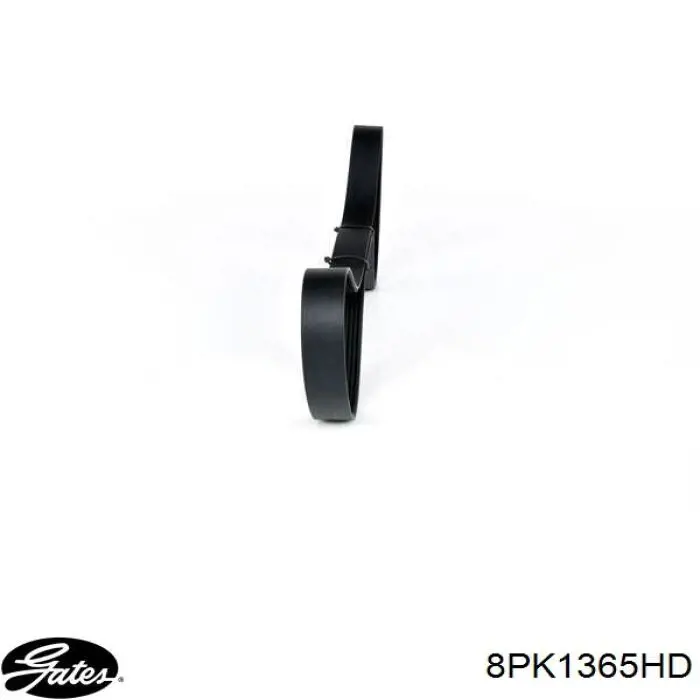 Do koszyka 3911587 Cummins Pas napędowy mechanizmów
