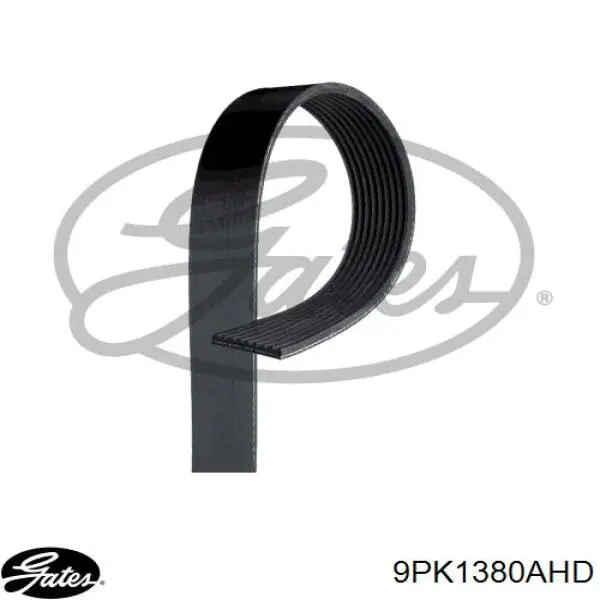 Do koszyka 1661948 DAF Pas napędowy mechanizmów