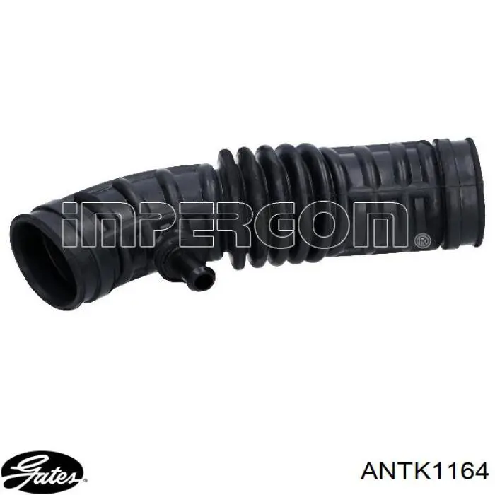 Króciec powietrza, wylot filtra powietrznego Gates ANTK1164 cena, od 16,87 USD
