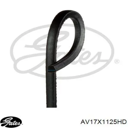 Pas napędowy mechanizmów Gates AV17X1125HD cena, od 11,06 USD