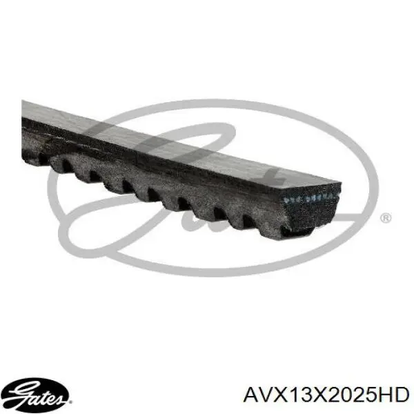  Continental/Siemens 13X2025