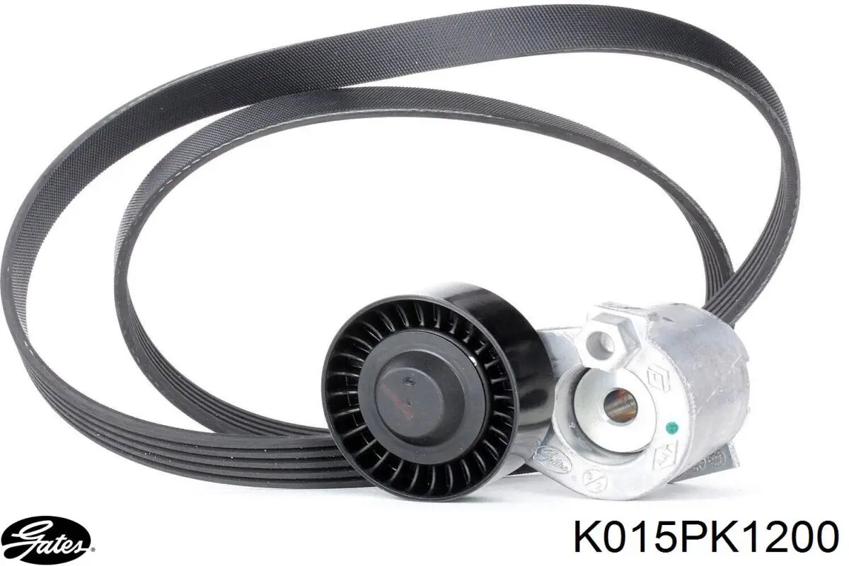 Pasek napędowy mechanizmów, zestaw Gates K015PK1200 cena, od 77,07 USD