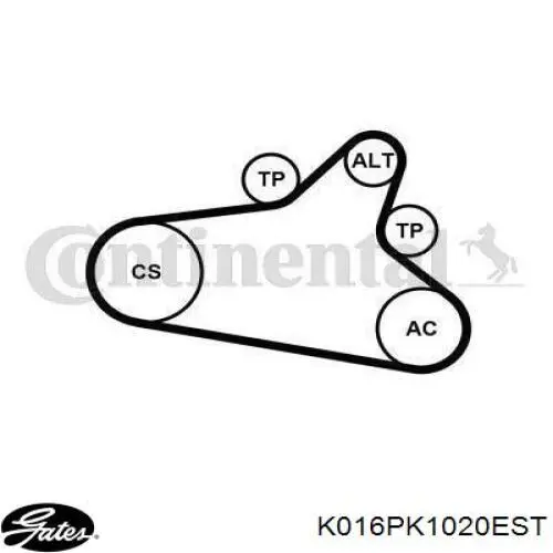 Pasek napędowy mechanizmów, zestaw 1678169480 Peugeot/Citroen