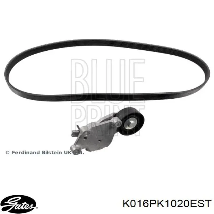 Do koszyka 1678169480 Peugeot/Citroen Pasek napędowy mechanizmów, zestaw