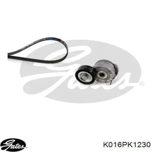 Pasek napędowy mechanizmów, zestaw Peugeot/Citroen 1617025580