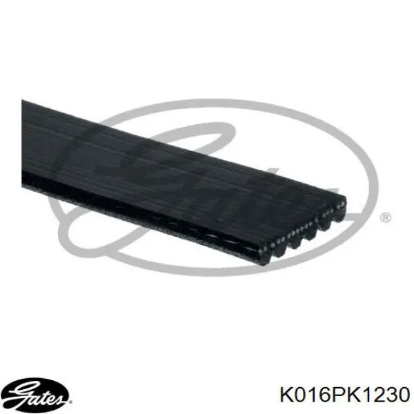 Pasek napędowy mechanizmów, zestaw Gates K016PK1230 cena, od 71,39 USD