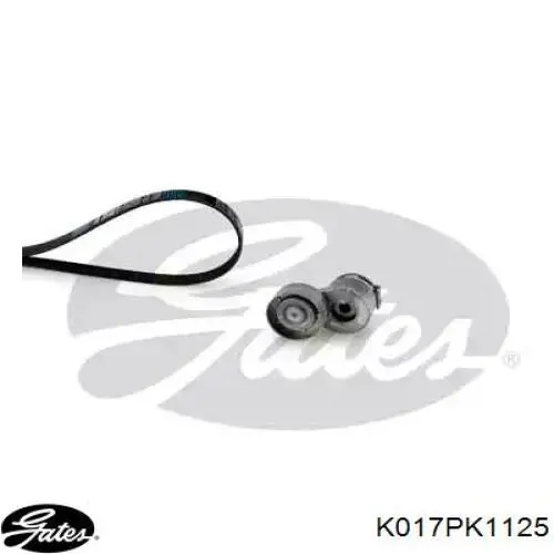 Pasek napędowy mechanizmów, zestaw Gates K017PK1125 cena, od 84,52 USD