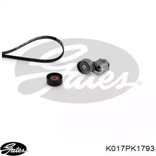 Do koszyka 8660004400 Renault (RVI) Pasek napędowy mechanizmów, zestaw