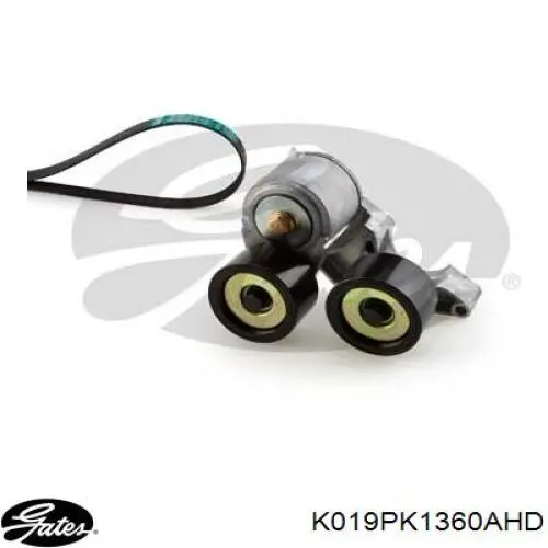 Pasek napędowy mechanizmów, zestaw Gates K019PK1360AHD cena, od 174,51 USD