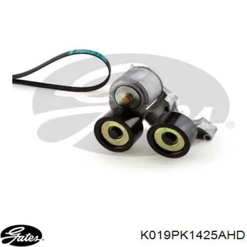 Pasek napędowy mechanizmów, zestaw Gates K019PK1425AHD cena, od 170,62 USD
