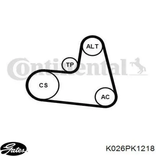 Pasek napędowy mechanizmów, zestaw Gates K026PK1218 cena, od 64,23 USD
