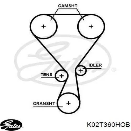 Pasek rozrządu, zestaw 1654516180 Peugeot/Citroen