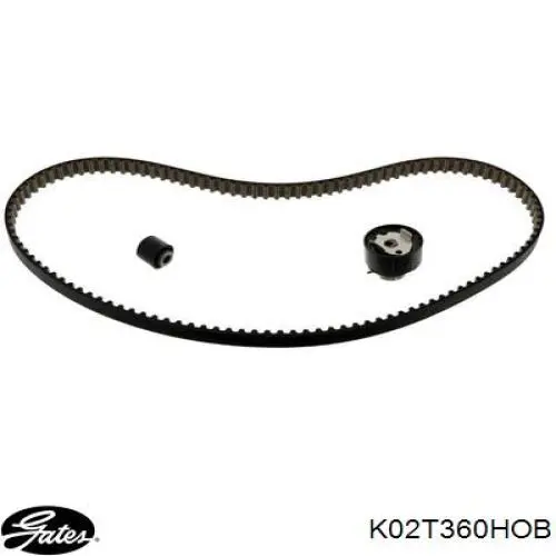 1654516180 Peugeot/Citroen Pasek rozrządu, zestaw