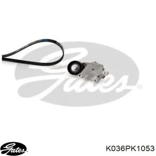 Do koszyka 1638183880 Peugeot/Citroen Pasek napędowy mechanizmów, zestaw