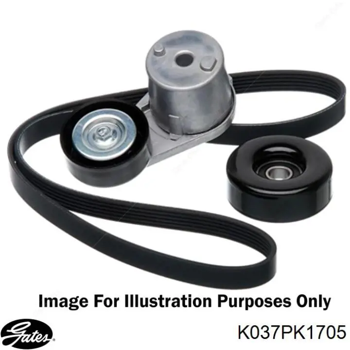 Pasek napędowy mechanizmów, zestaw Nissan/Infiniti 1172000Q1D cena, od 257,64 USD