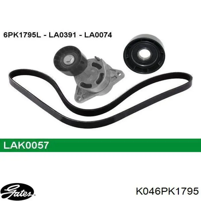 Do koszyka 8660004411 Renault (RVI) Pasek napędowy mechanizmów, zestaw