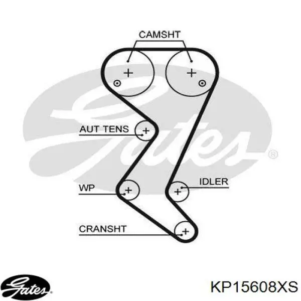 KP15608XS Gates pasek rozrządu, zestaw