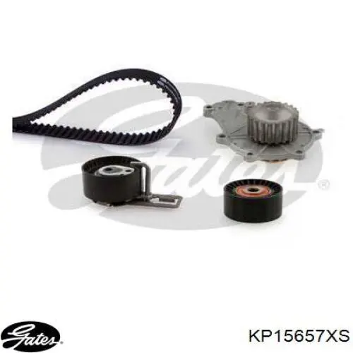 Pasek rozrządu, zestaw Dolz KD160 cena, od 163,10 USD
