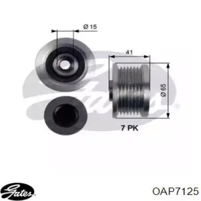 WCPA05439Y2AM Koyo Koło pasowe alternatora