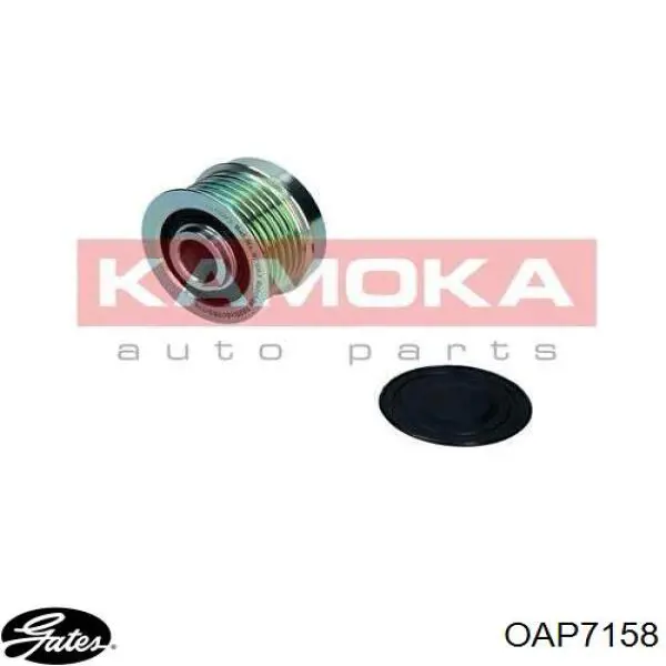 Do koszyka AM5Q10A352AA Ford Koło pasowe alternatora