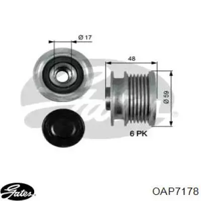 Koło pasowe alternatora 55565443 General Motors