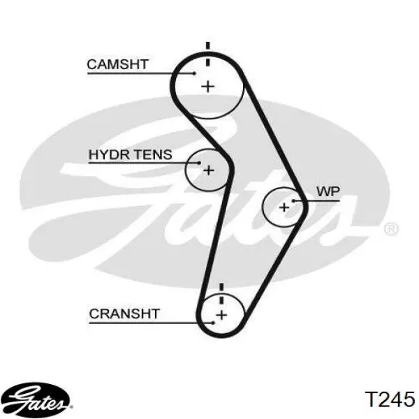 Pasek rozrządu Chrysler TB000245 cena, od 19,35 USD