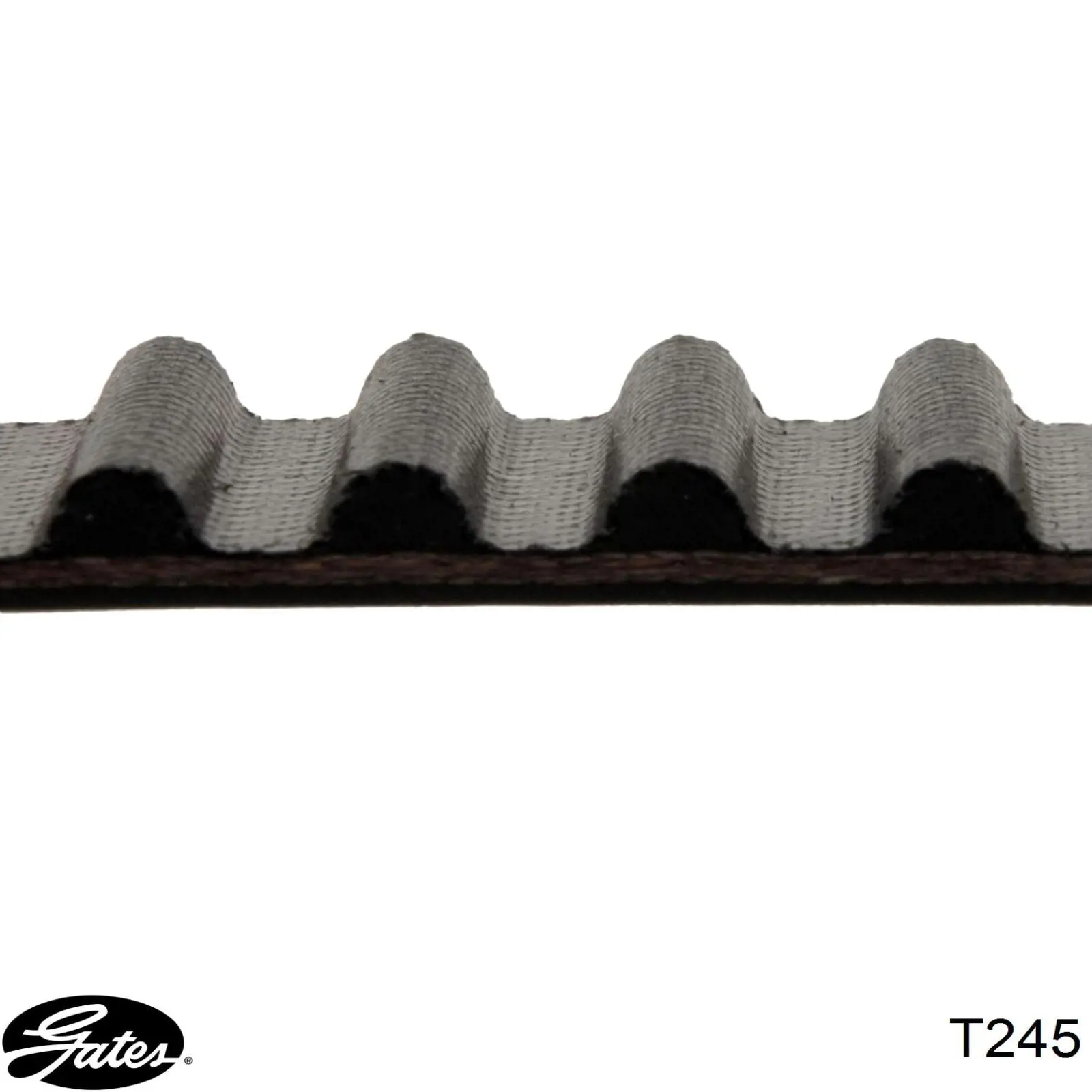 Do koszyka TB000245 Chrysler Pasek rozrządu