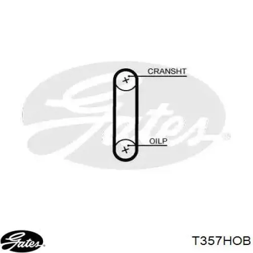 Pasek pompy olejowej Ford Focus 3 (CB8)