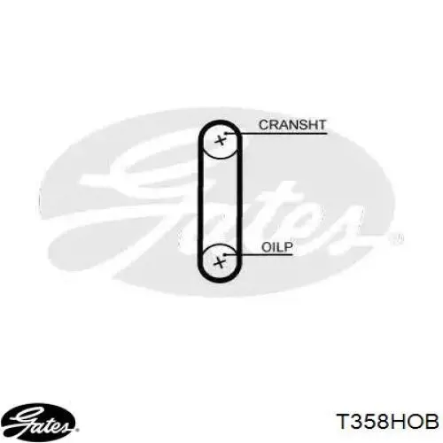 Pasek pompy olejowej Febi 104829 cena, od 22,29 USD