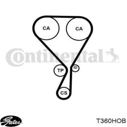 Do koszyka 1654514680 Peugeot/Citroen Pasek rozrządu