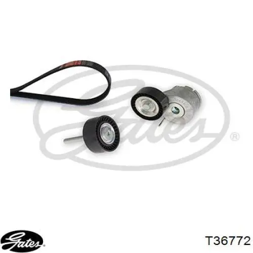 Do koszyka 55275618 Fiat/Alfa/Lancia Rolka prowadząca, kierunkowa paska napędowego