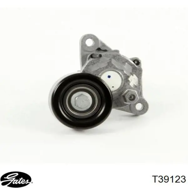 Do koszyka 252812A600 Gates Napinacz paska napędowego