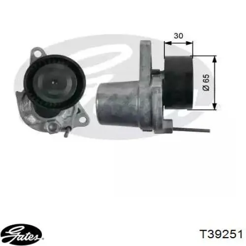 117202957R Renault (RVI) Napinacz paska napędowego