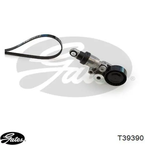 Napinacz paska napędowego Masuma MIP4008 cena, od 59,31 USD