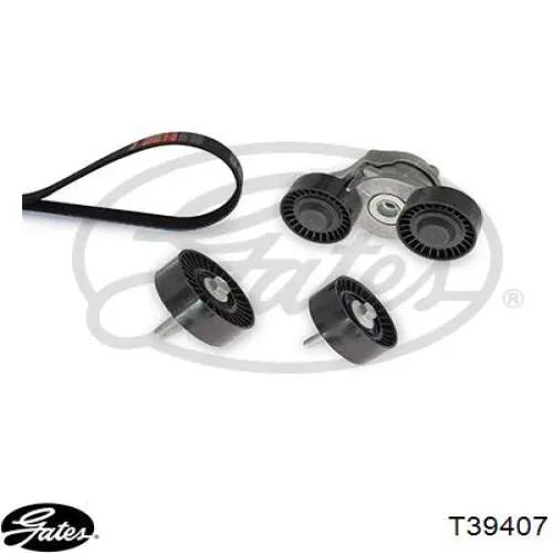 Do koszyka GX736B248AA Land Rover Napinacz paska napędowego