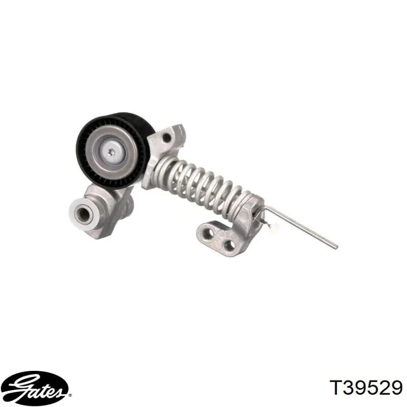 APV4279 Dayco Napinacz paska napędowego