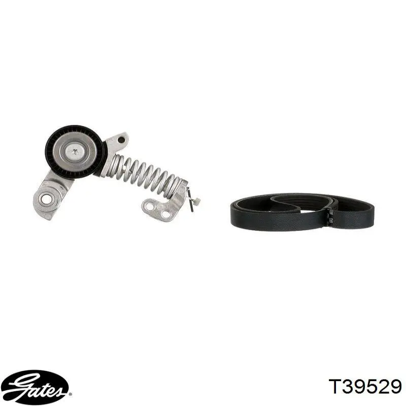 Napinacz paska napędowego Dayco APV4279 cena, od 78,32 USD