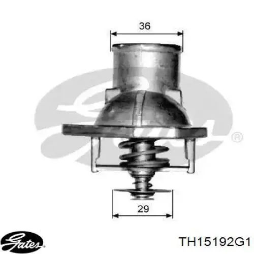 Do koszyka RD1517597992 Rider Termostat