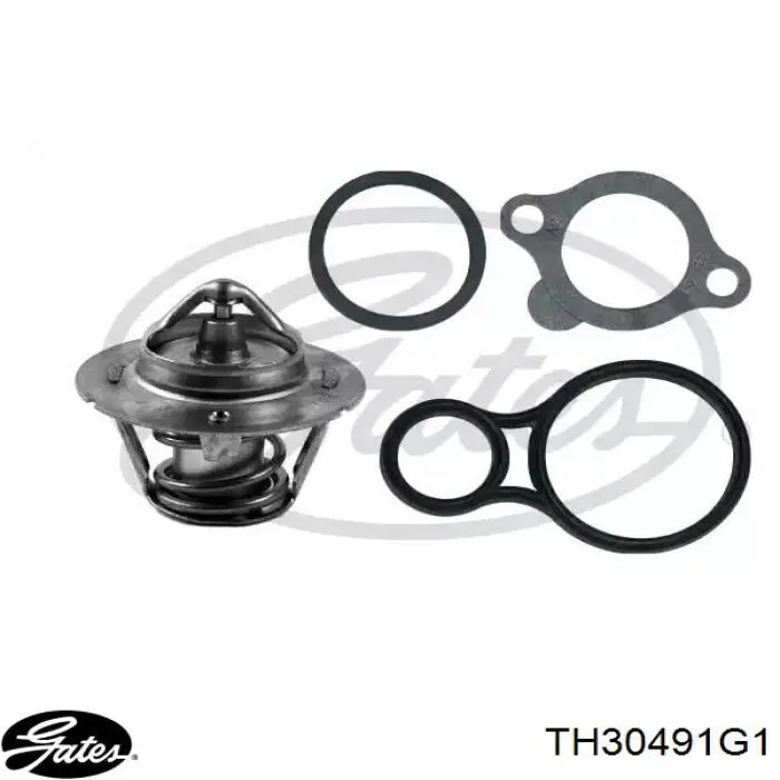 Termostat Gates TH30491G1 cena, od 12,49 USD