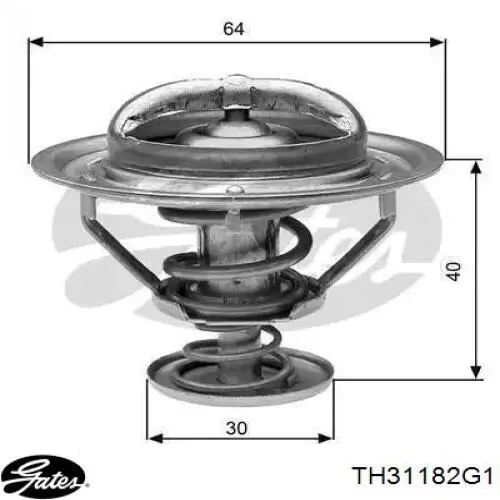 Termostat WV64TA82A Tama