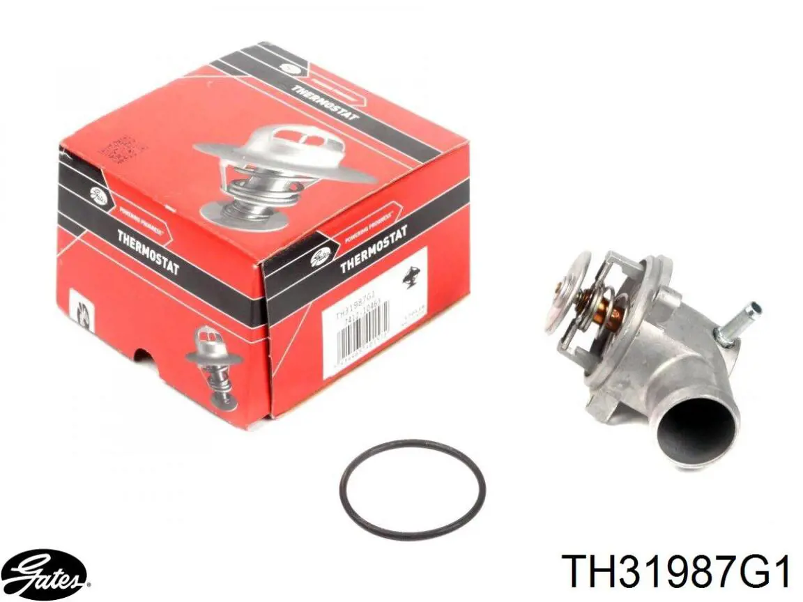 Termostat Mercedes A1112030875 cena, od 15,86 USD