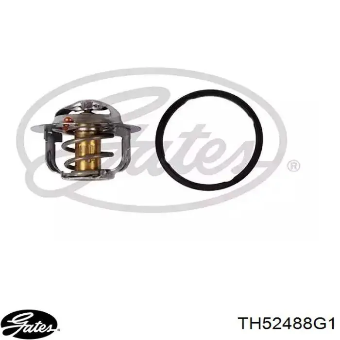TH52488G1 Gates termostat