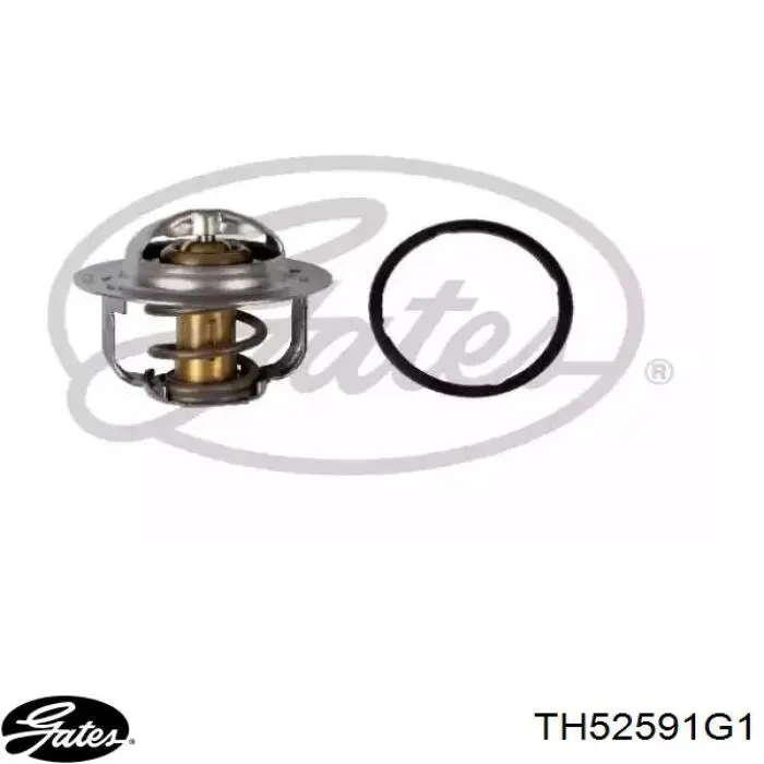 TH52591G1 Gates termostat