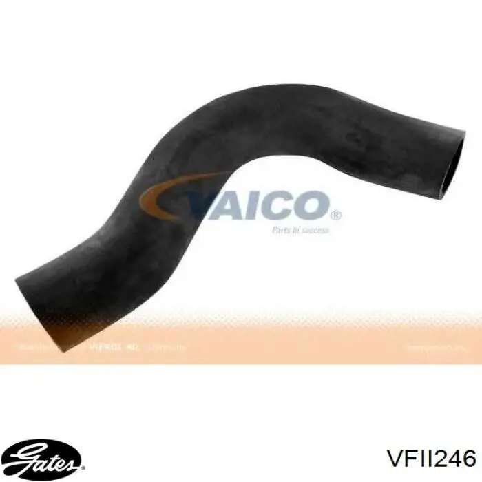 Do koszyka Przewód (króciec) chłodnicy górny Mitsubishi Space Wagon III N8, N9