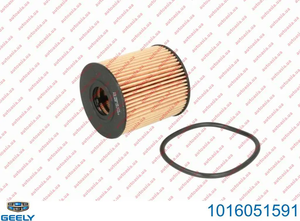 1016051591 Geely Filtr oleju