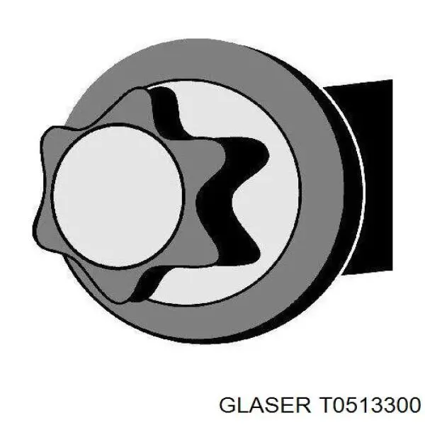 Do koszyka T0513300 Glaser Śruba głowicy cylindrów