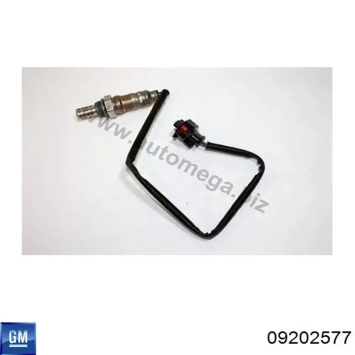 Do koszyka 09202577 General Motors Sonda lambda, czujnik tlenu